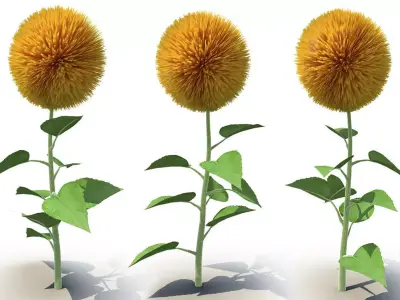 Sunflower 3D model