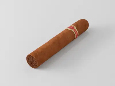 Cigar Dunhill Cabinetta 3D model