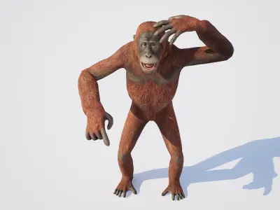 Orangutan 3D model