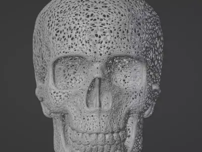 FILIGREE HUMAN SKULL 3D print model