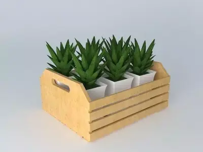 Tray with plants Free 3D model