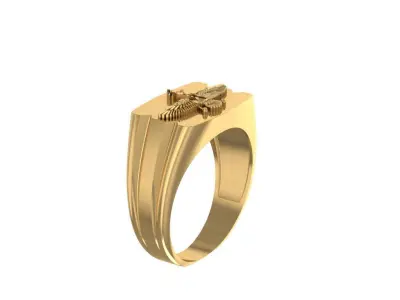 Ringfarvahar  3D print model