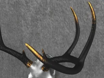 Deer Skull Mount Low-poly 3D model