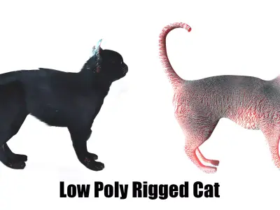 Low Poly     Black cat      Rigged  Low-poly 3D model