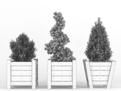 Buxus three wooden planters 3D model