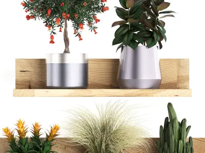 Collection of Exotic Plants 409 3D model