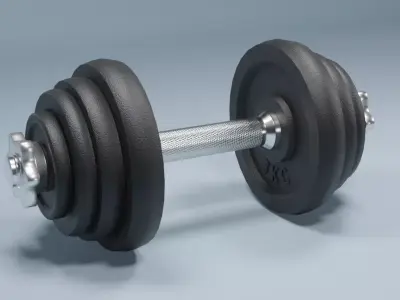 Dumbbell Realistic Free 3D model
