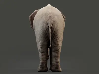 Animated Elephant 8K Low-poly 3D model