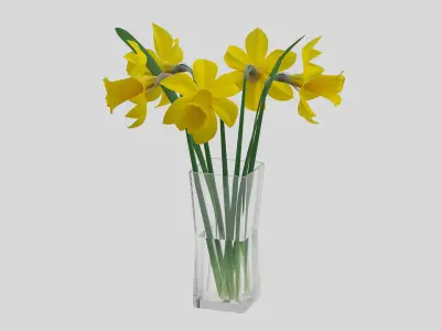 Yellow daffodils in a glass vase 3D model