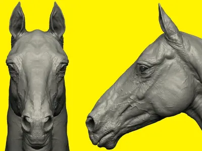 Horse print ready model 3D print model