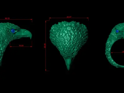 Eagle ring 3D print model