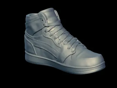 Sneakers high top sneaker 3D print model