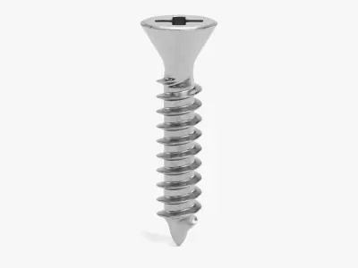 -Screw V3- 3D model