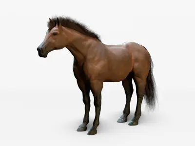 Horse Animated Low-poly 3D model
