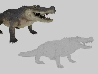 Realistic Crocodile 3D Model Game Ready Textures FBX C4D Blender Low-poly 3D model