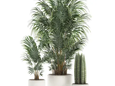 Decorative palm in a white flowerpot 520 3D model