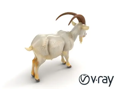 White Mountain Goat with Curved Horns 3D Model Pack Low-poly 3D model