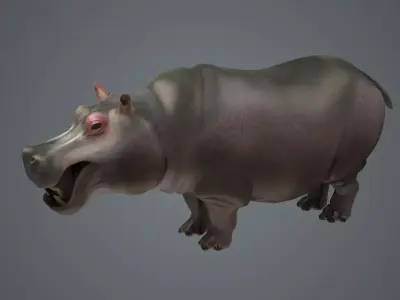 Realistic Hippos African Hippos herbivores African animal 3D model