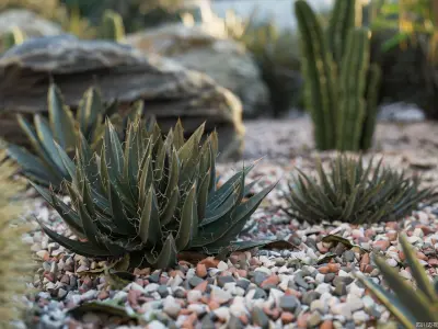 Maxtree Plant Models Vol 25 - Mesh 3D model