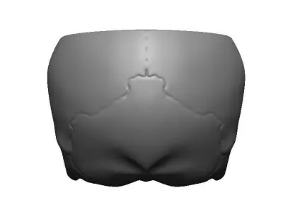 Skull box  Free 3D print model