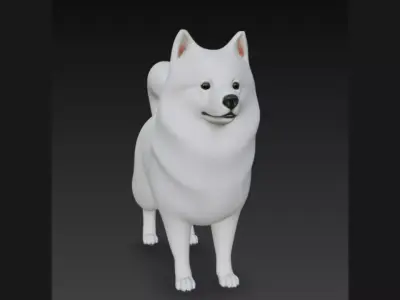 American Eskimo Dog 3D Model 3D model