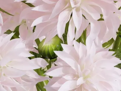 Bouquet 3 dahlias in glass vase 3D model