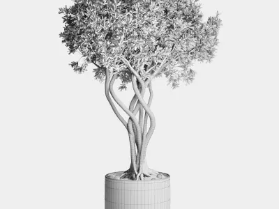 Outdoor plant 84 pot tree bonsai concrete dirt vase  3D model