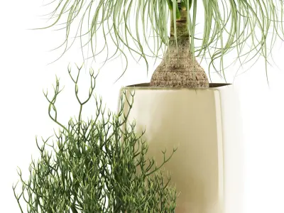 Plants collection 101 Awesomeplanters 3D model