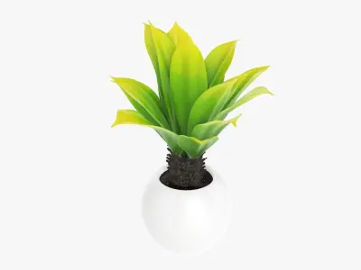 Potted palm decorative 01 3D model
