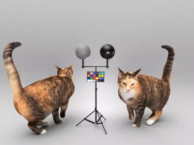 Cat 25 Low-poly 3D model