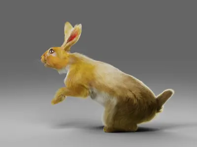 Fur Rabbit V01 Rigged in Blender Low-poly 3D model