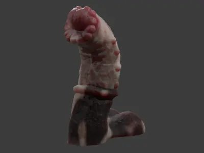 Minotaur Penis Rigged Lowpoly and Highpoly Low-poly 3D model