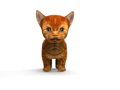 3D Cat Animated Low-poly 3D model