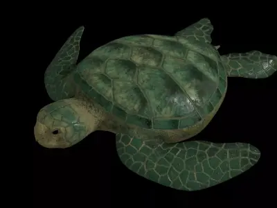 Sea turtle PBR rigged 3D model