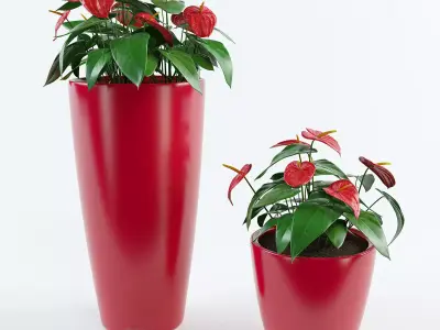 Anthurium plant pots - plant pots 3D model