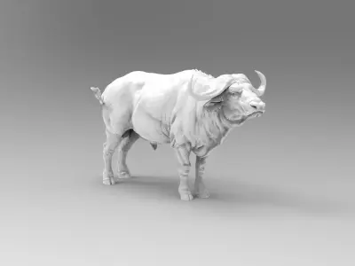 buffalo 3D model