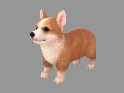 Cartoon pet puppy - Corgi - baby dog Low-poly 3D model