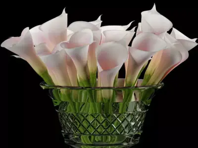 Decorative Set 40 3D model order