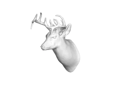 deer head 3D model 10