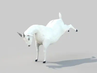 white goat two 3D model