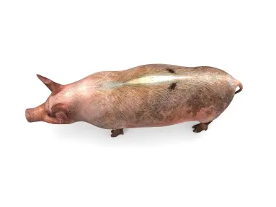 Pig Rigged  Animated 3D model Low-poly 3D model