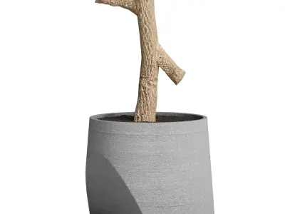 indoor plant 482 pot plant tree concrete dirt vase 3D model