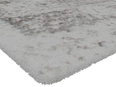 Rug Set 1798 3D model
