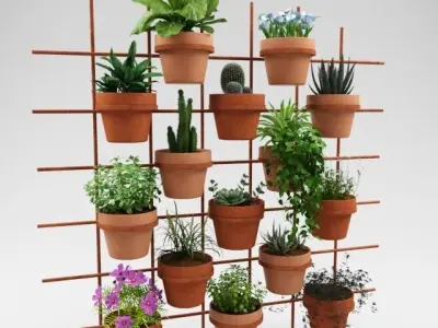 Cactus decor 3D model