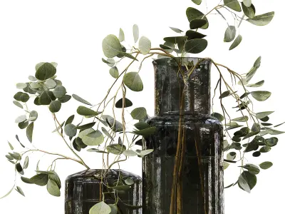 Collection Indoor Plants 010 3D model