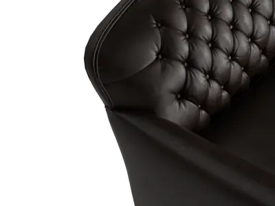 Edmund Tufted Leather Loveseat Sofa 3D model