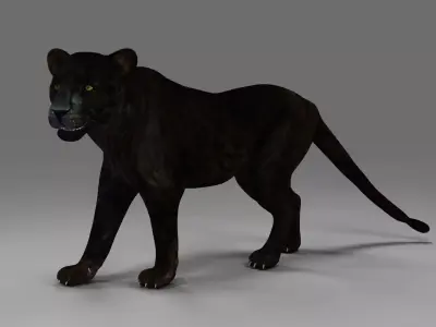 Black Panther Rigged in Blender  Low-poly 3D model
