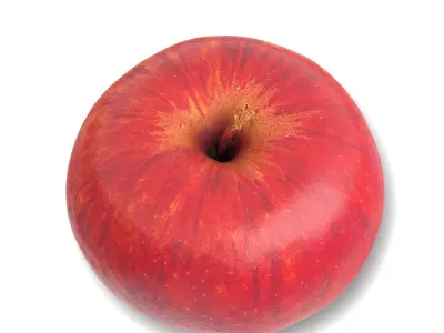 Photorealistic 3D Scanned Apple Low-poly 3D model