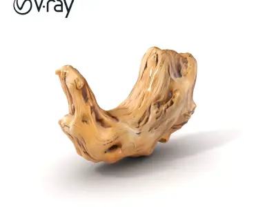 Driftwood Gold Accents Sculpture model pack Low-poly 3D model