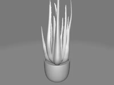 STORIES DESKTOP SUCCULENT PLANT IN POT 3D model